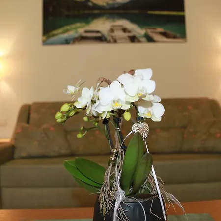 Panorama Guest house Wagrain