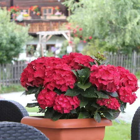 Panorama Guest house