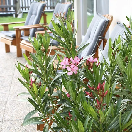 Guest house Panorama Wagrain