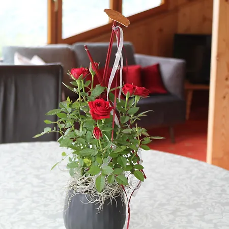 Panorama Guest house