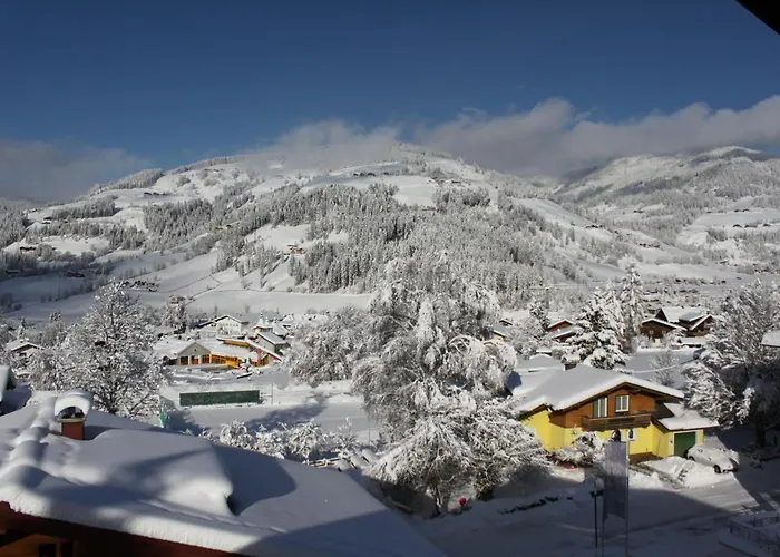 ゲストハウス Panorama 3*