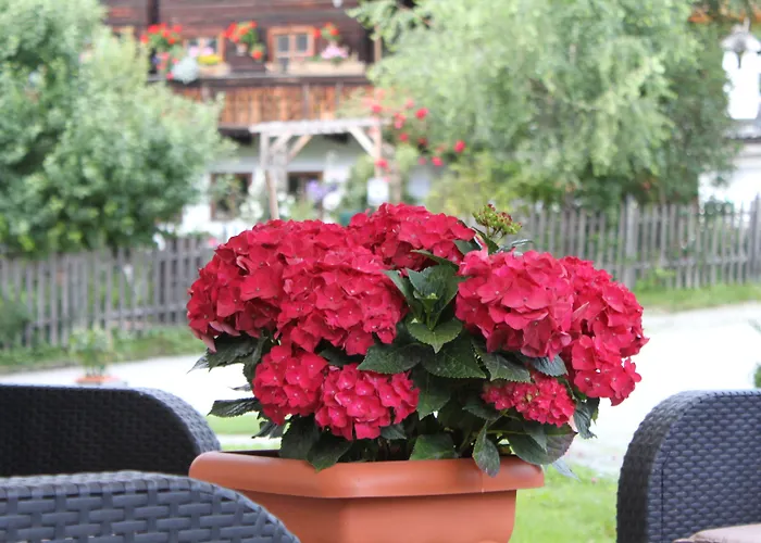 Panorama 3* ヴァークライン