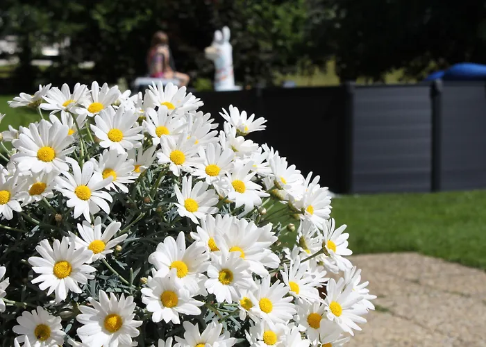 Panorama ゲストハウス 3*